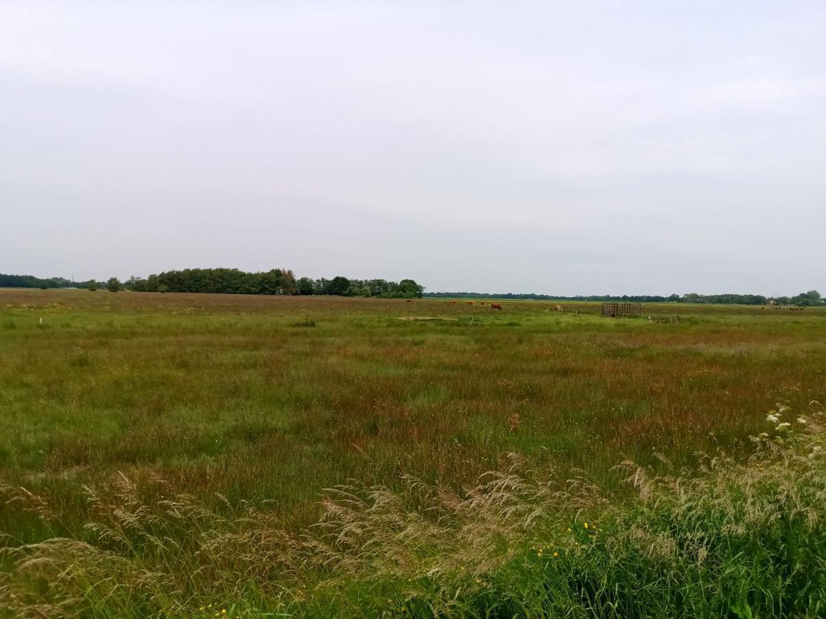 Fewo Unner'D Kastanje Moormerland Exterior foto